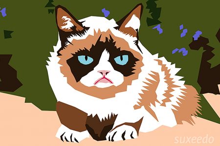gemalte Grumpy Cat
