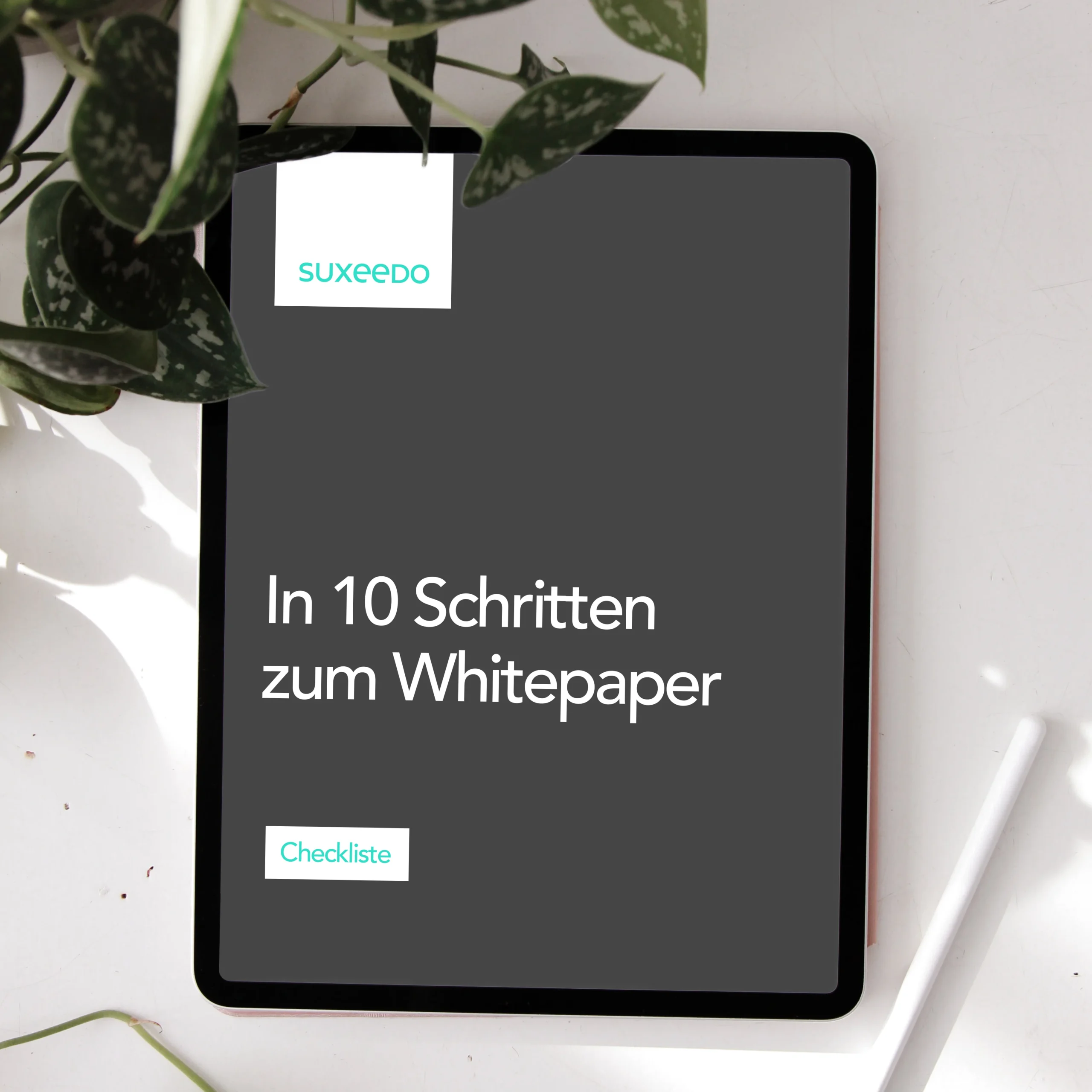 Checkliste Whitepaper IPad Cover